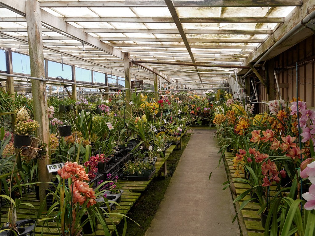 things to do in santa barbara CA: Santa Barbara Orchid Estate