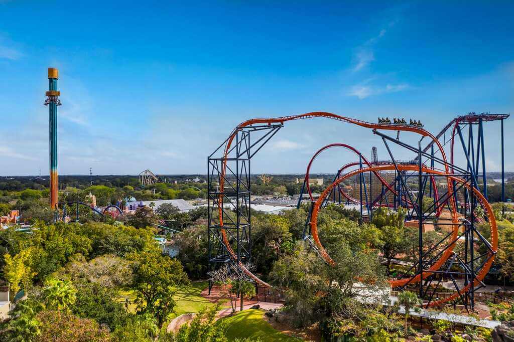 things to do in tampa florida: Busch Gardens Tampa