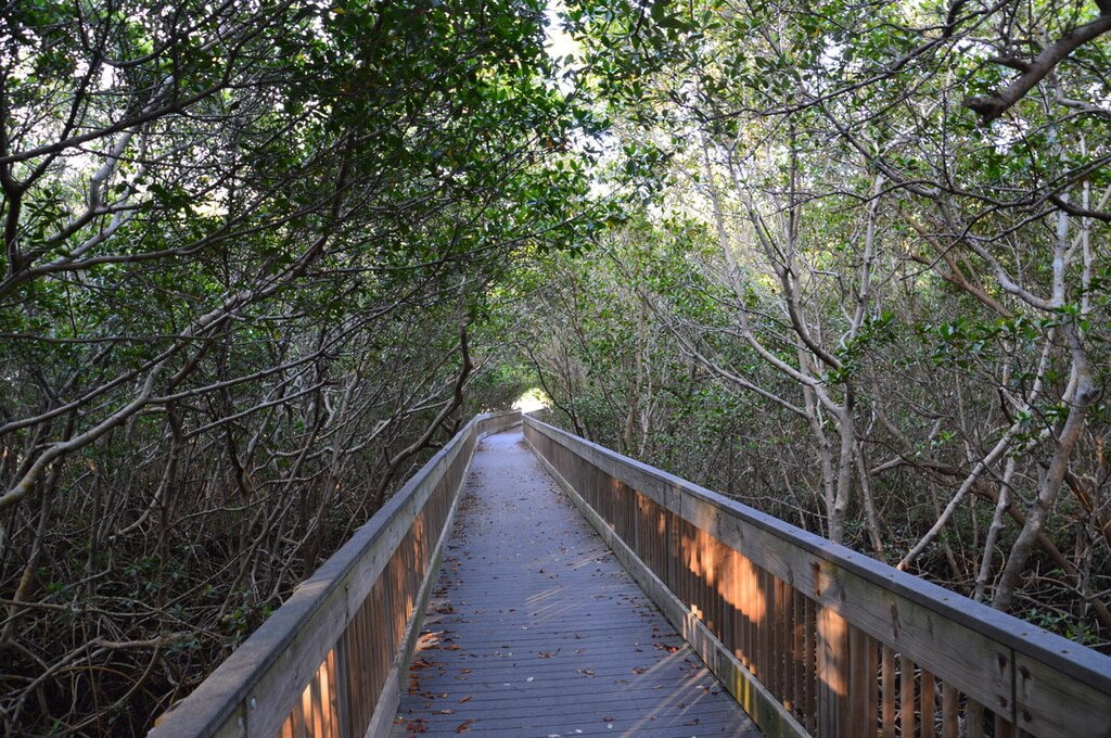 things to do in tampa florida: Weedon Island Preserve