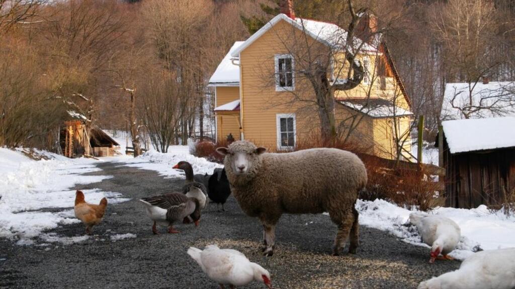 things to do in the poconos: Quiet Valley Living Historical Farm