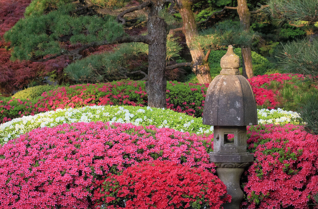 Japanese Garden in Portland: things to see in oregon